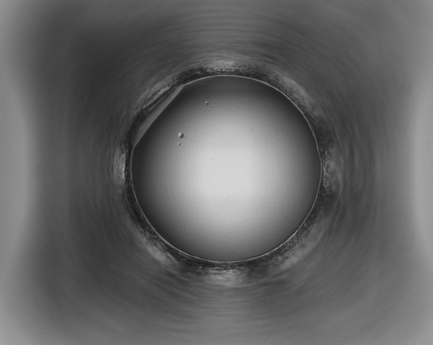X0000116430454200912151021
