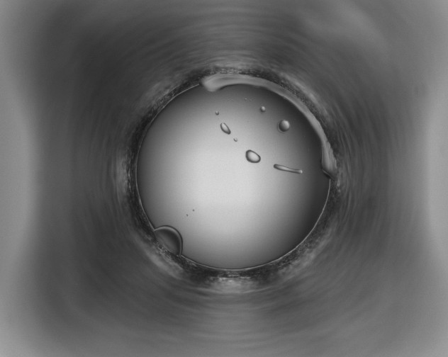 X0000116430455200912151021