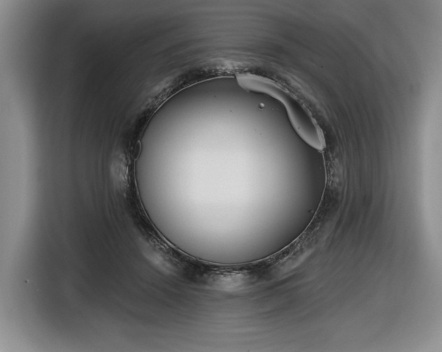 X0000116430456200912151021