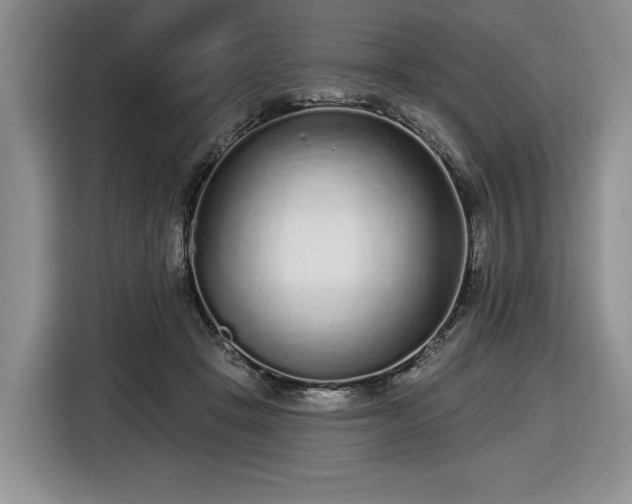 X0000116430457200912151021