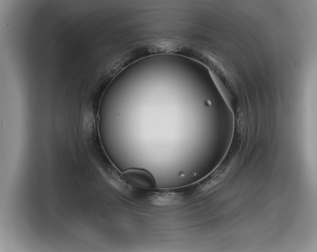X0000116430459200912151022