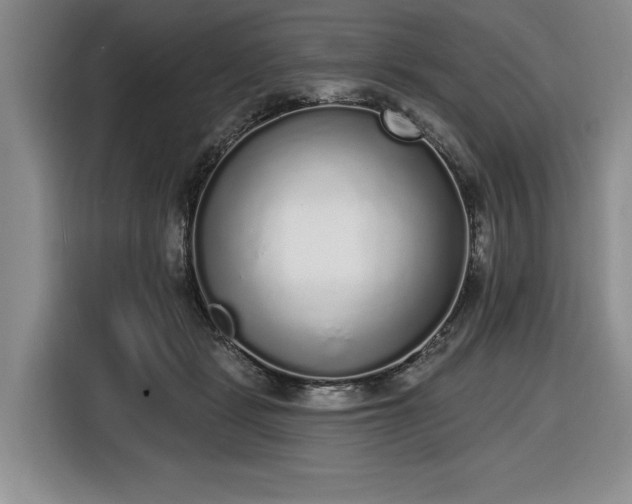 X0000116430461200912151022