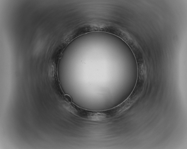 X0000116430463200912151022