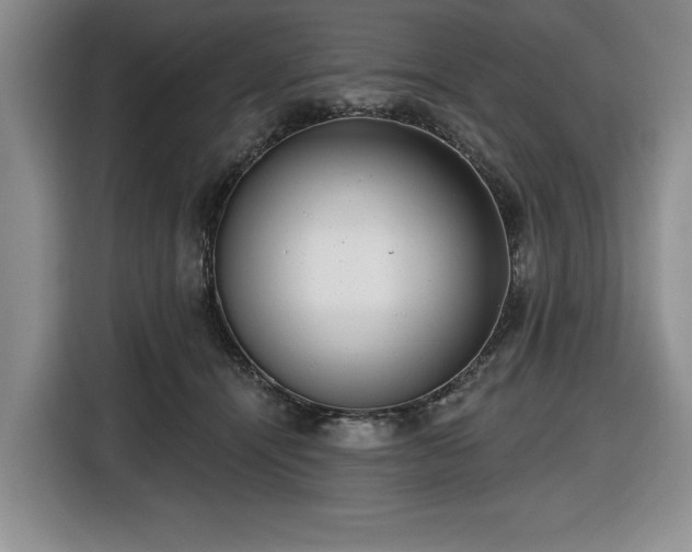 X0000116430464200912151022