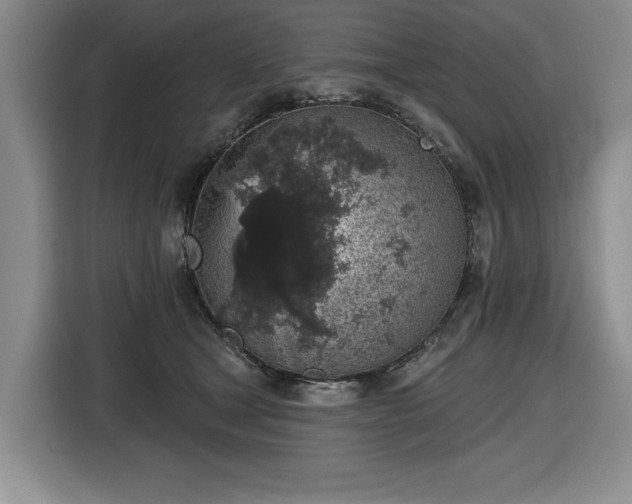 X0000116430465200912151022