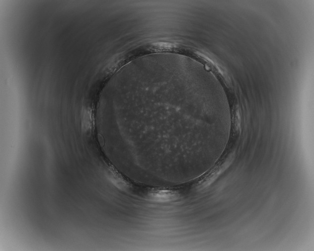 X0000116430467200912151022