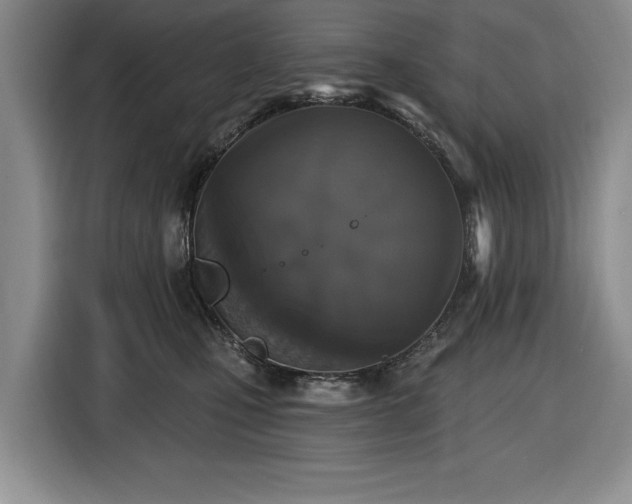 X0000116430471200912151022