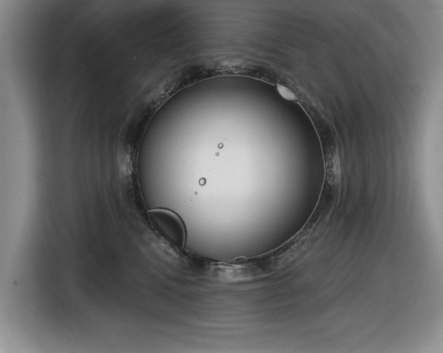 X0000116430472200912151022