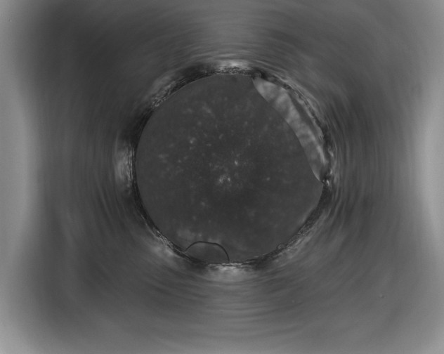 X0000116430475200912151022