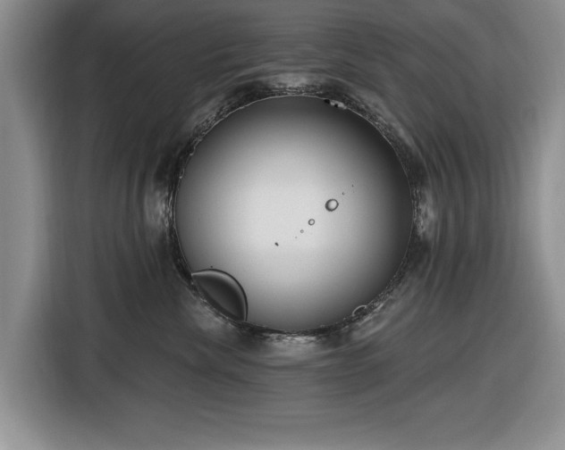 X0000116430476200912151022