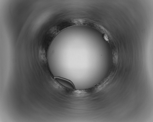 X0000116430477200912151022