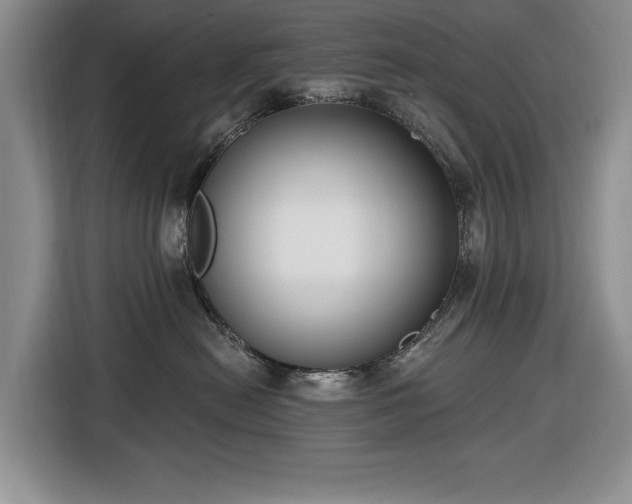 X0000116430478200912151022