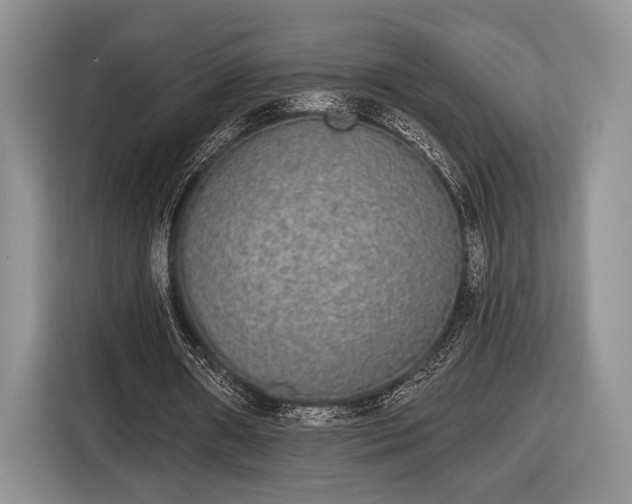 X0000116430482200912151021