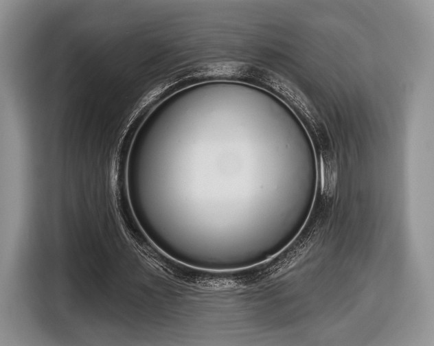 X0000116430483200912151021