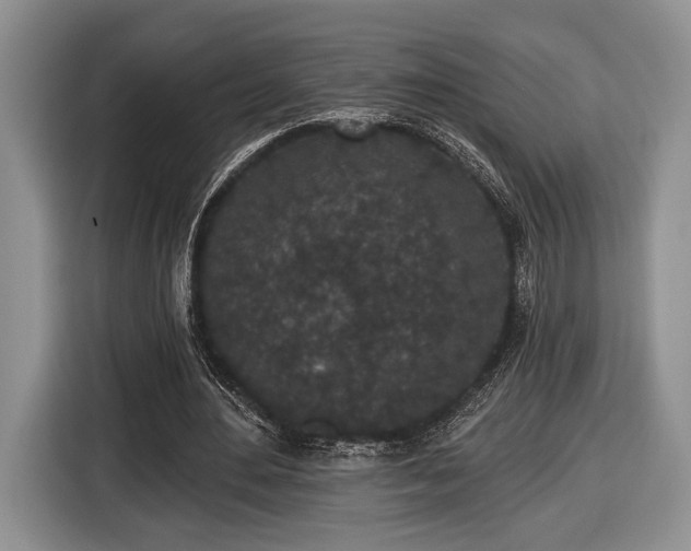 X0000116430484200912151021