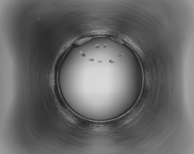 X0000116430486200912151021