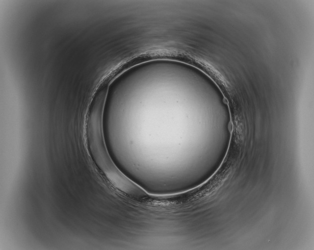 X0000116430487200912151021