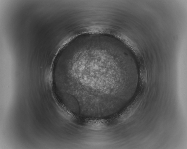 X0000116430488200912151021