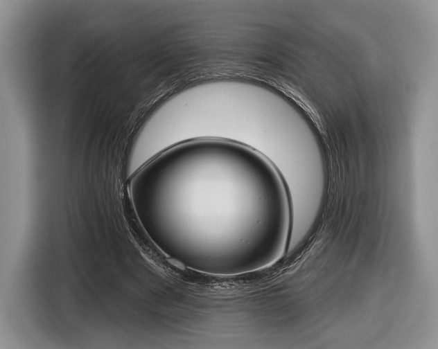 X0000116430489200912151021