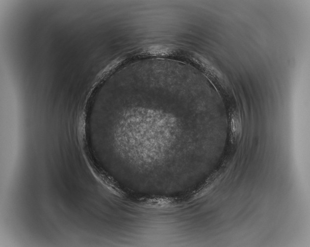 X0000116430492200912151021