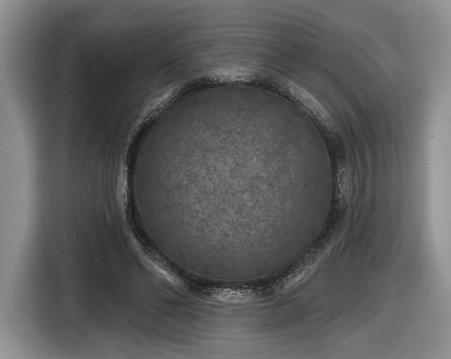 X0000116430494200912151021