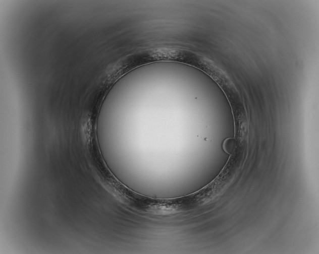 X0000116430498200912151021