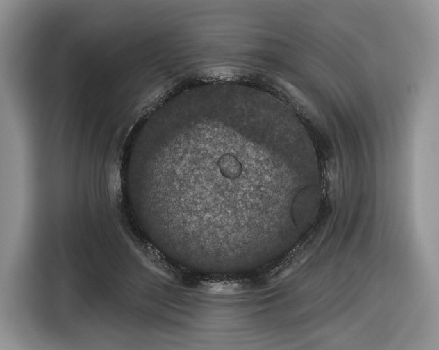 X0000116430500200912151021