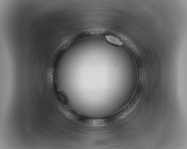 X0000116430501200912151021