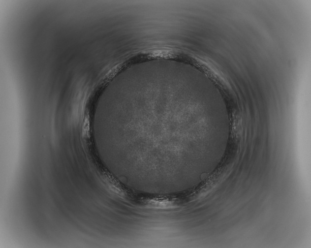 X0000116430502200912151021