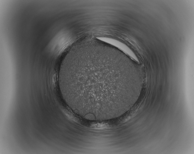 X0000116430503200912151021