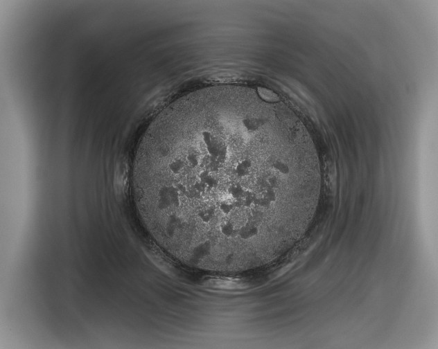 X0000116430507200912151021