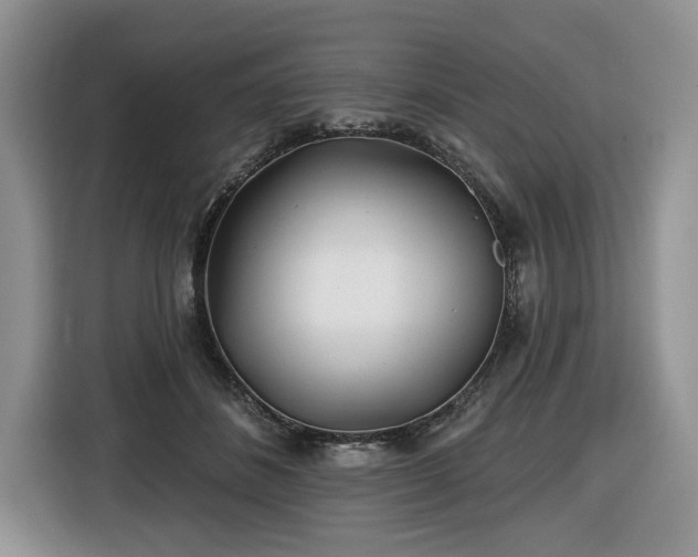 X0000116430508200912151021