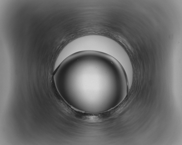 X0000116430509200912151021
