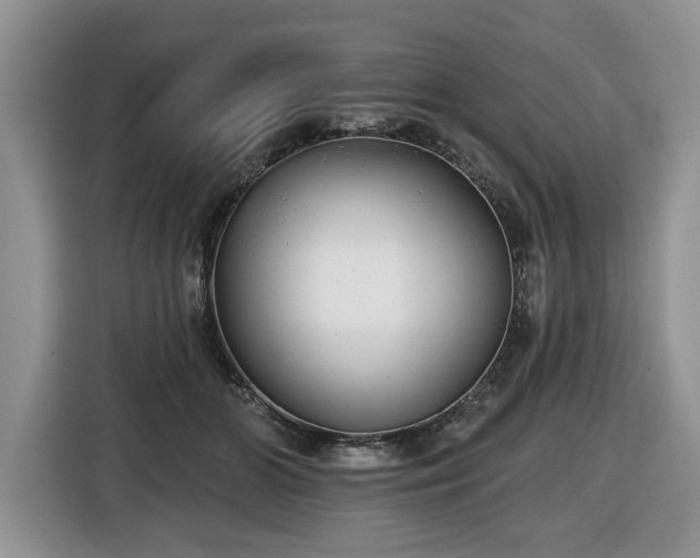 X0000116430510200912151021