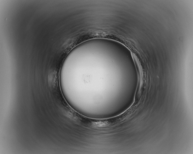 X0000116430511200912151021