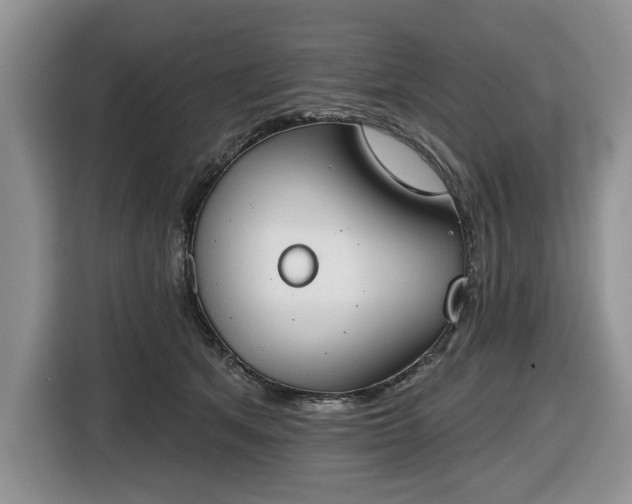X0000116430513200912151021