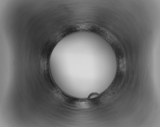 X0000116430514200912151021