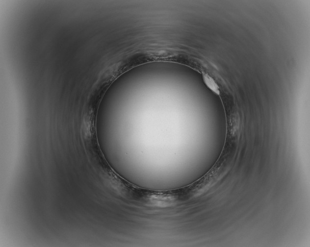 X0000116430515200912151021