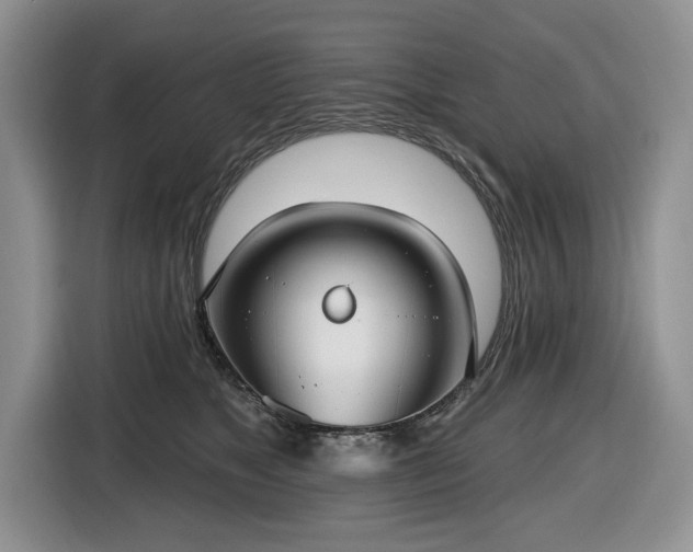 X0000116430517200912151021
