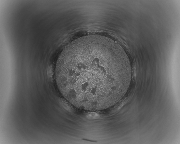 X0000116430519200912151021