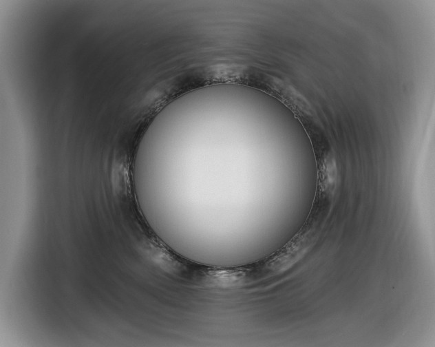 X0000116430522200912151021