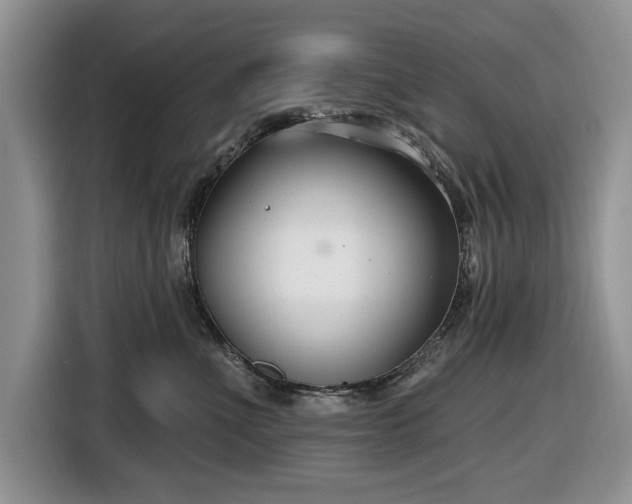 X0000116430523200912151021