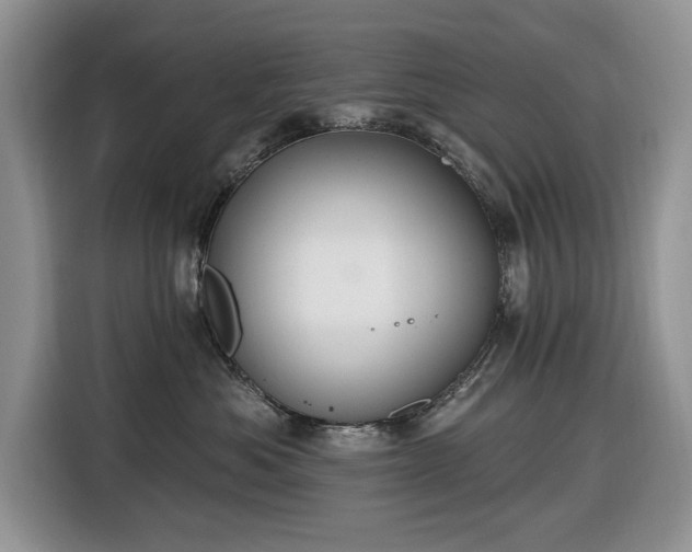 X0000116430525200912151021