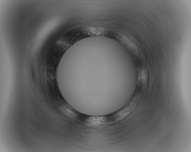 X0000116430526200912151021
