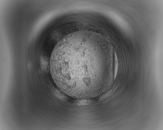 X0000116430527200912151021