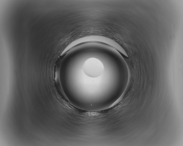 X0000116430528200912151021