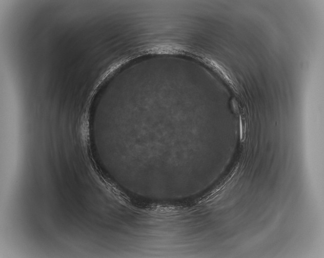 X0000116430531200912151020