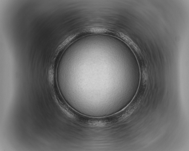 X0000116430533200912151020