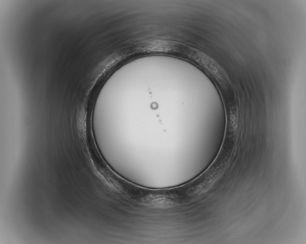 X0000116430534200912151020