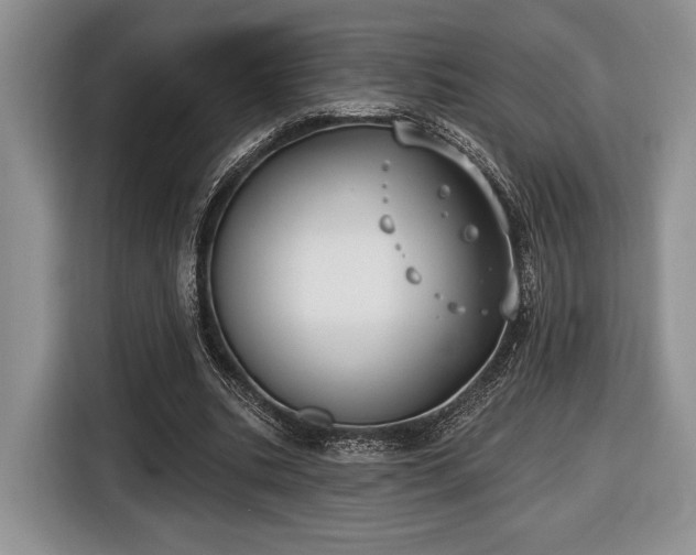 X0000116430535200912151020